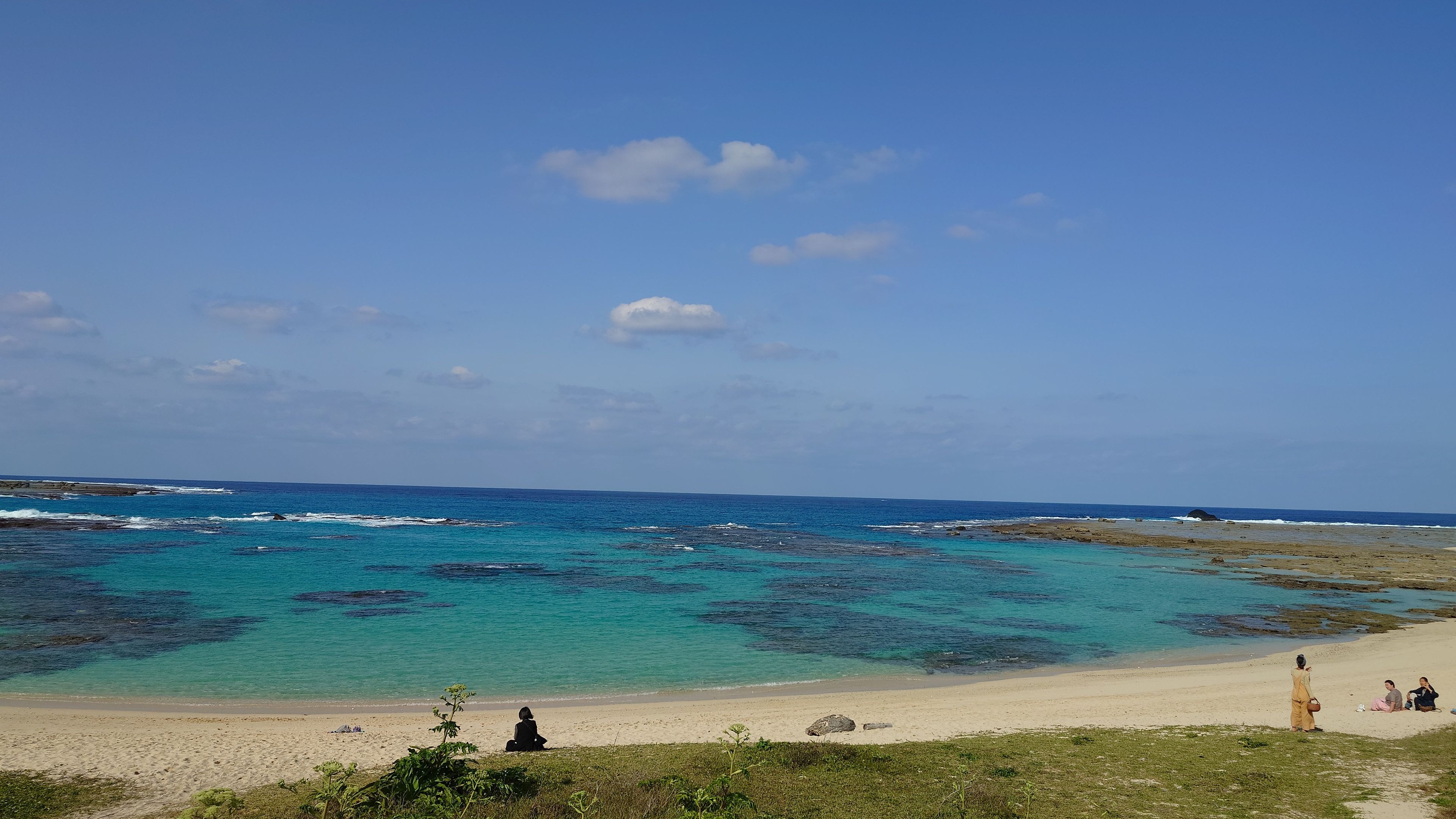 Amami Island Background