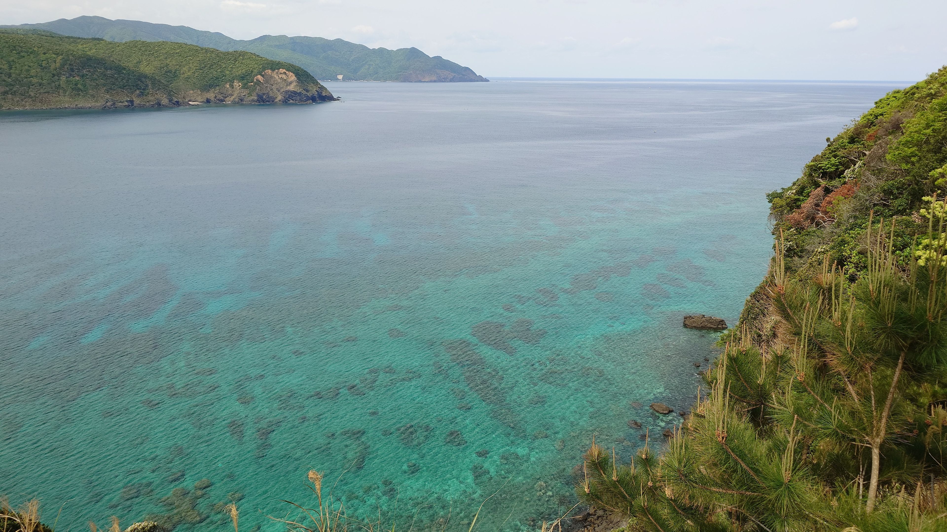 Emerald green sea seen from the path to Miyakozaki