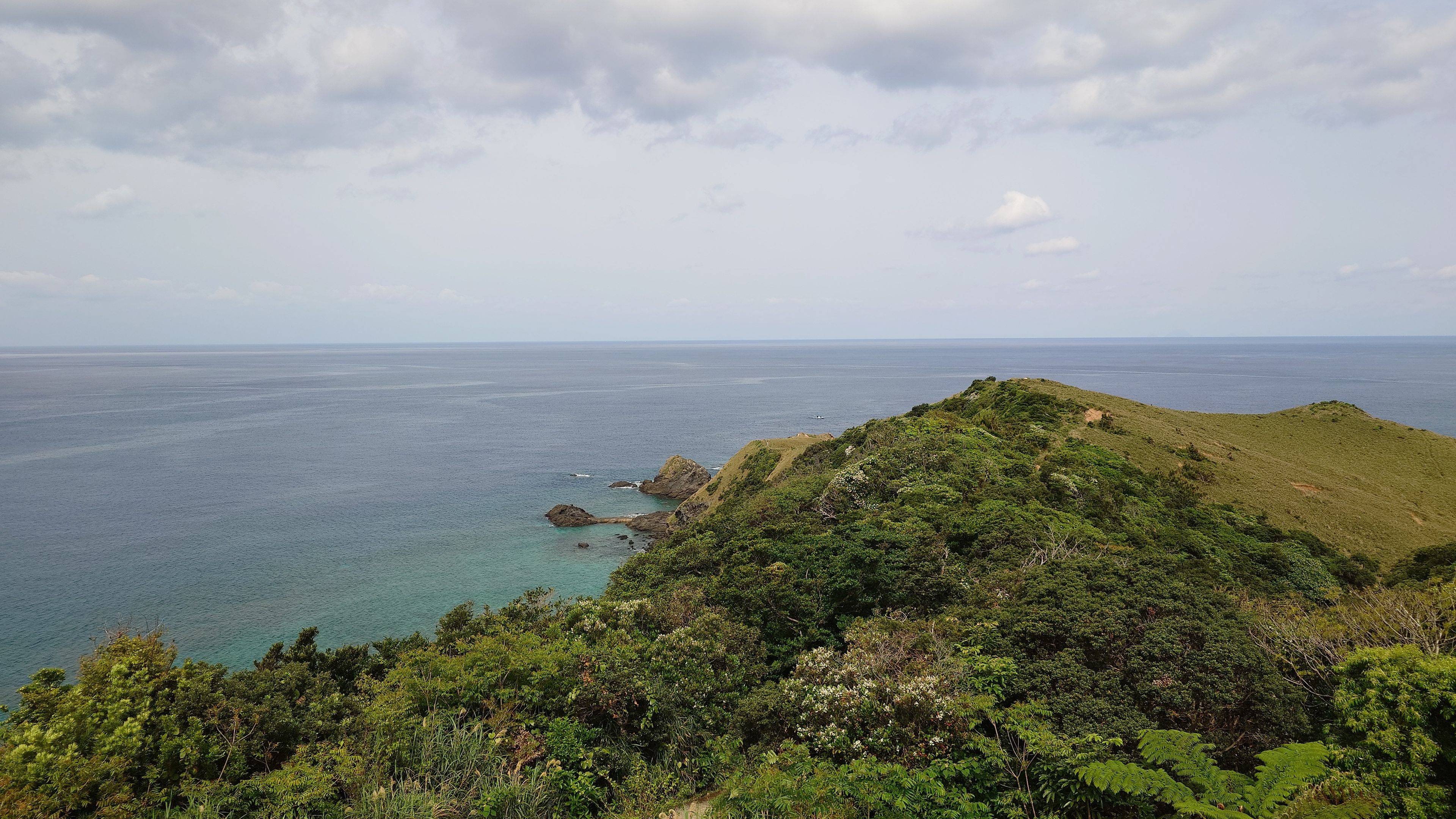 Miyakozaki Cape - deep green extending to the tip, surrounded by emerald sea