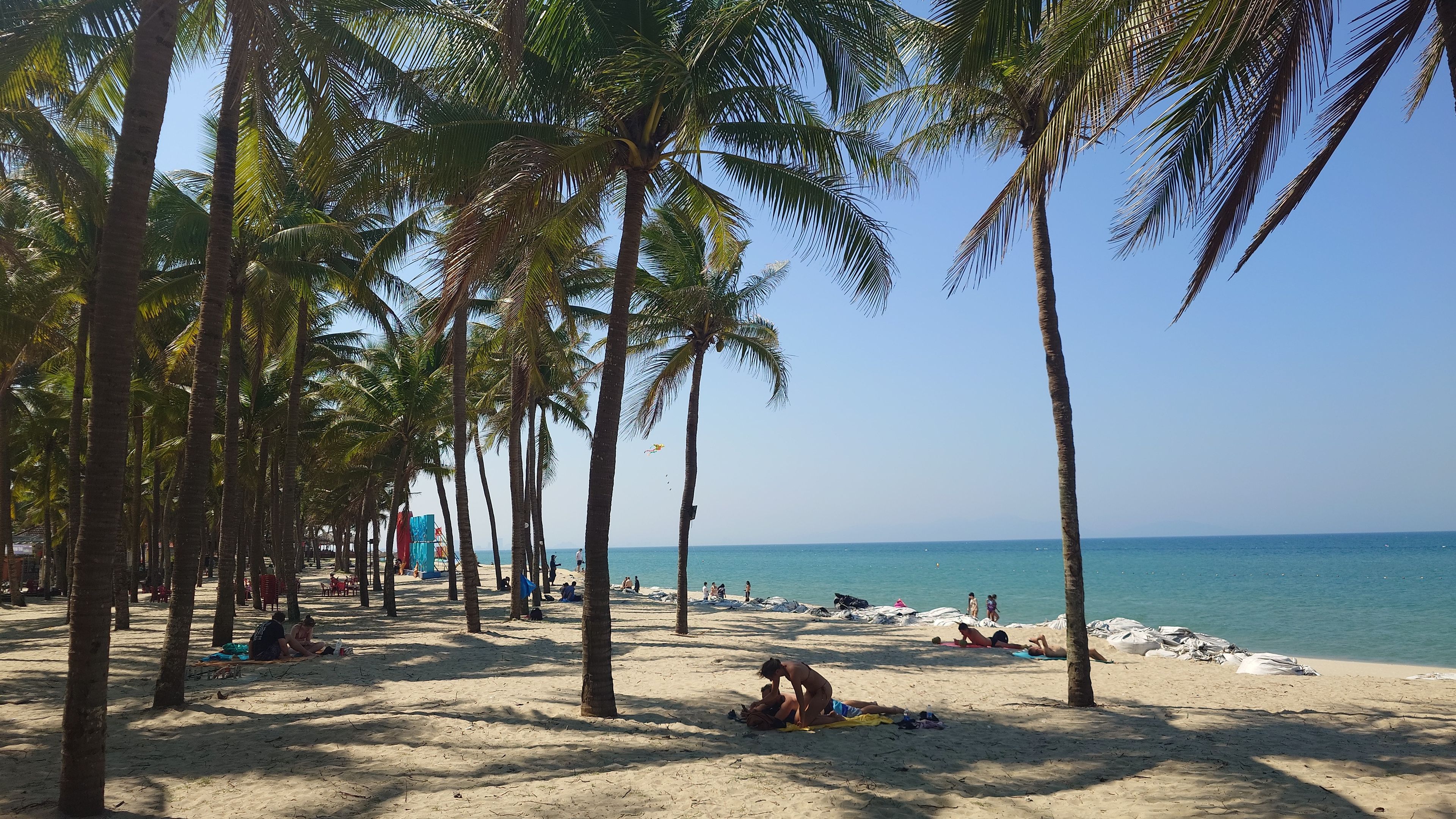 Tropical scene with palm tree shadows on the sand