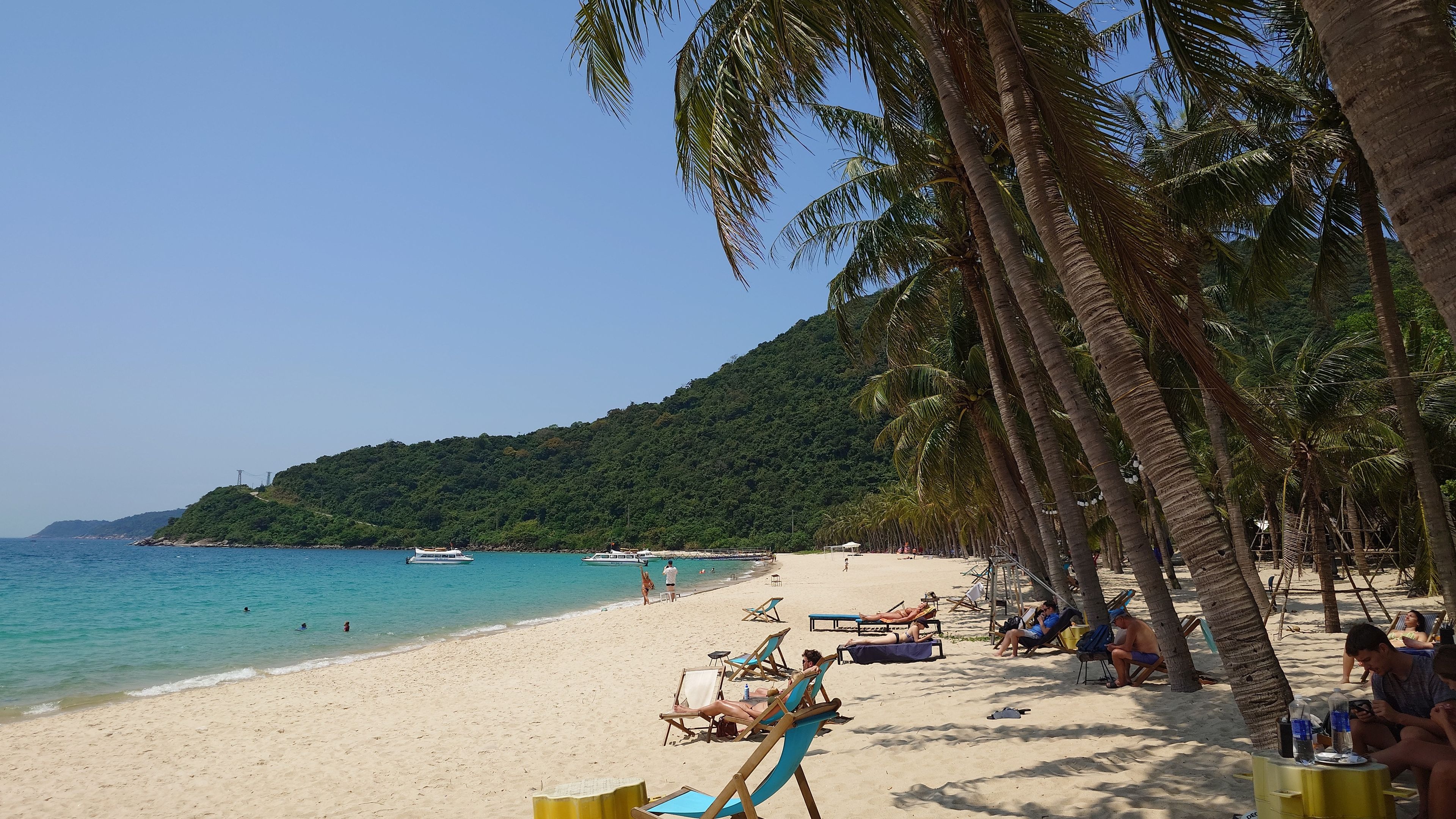 チャム島 Bãi Ong。青い空とヤシの木、整然と並ぶビーチチェアが美しい