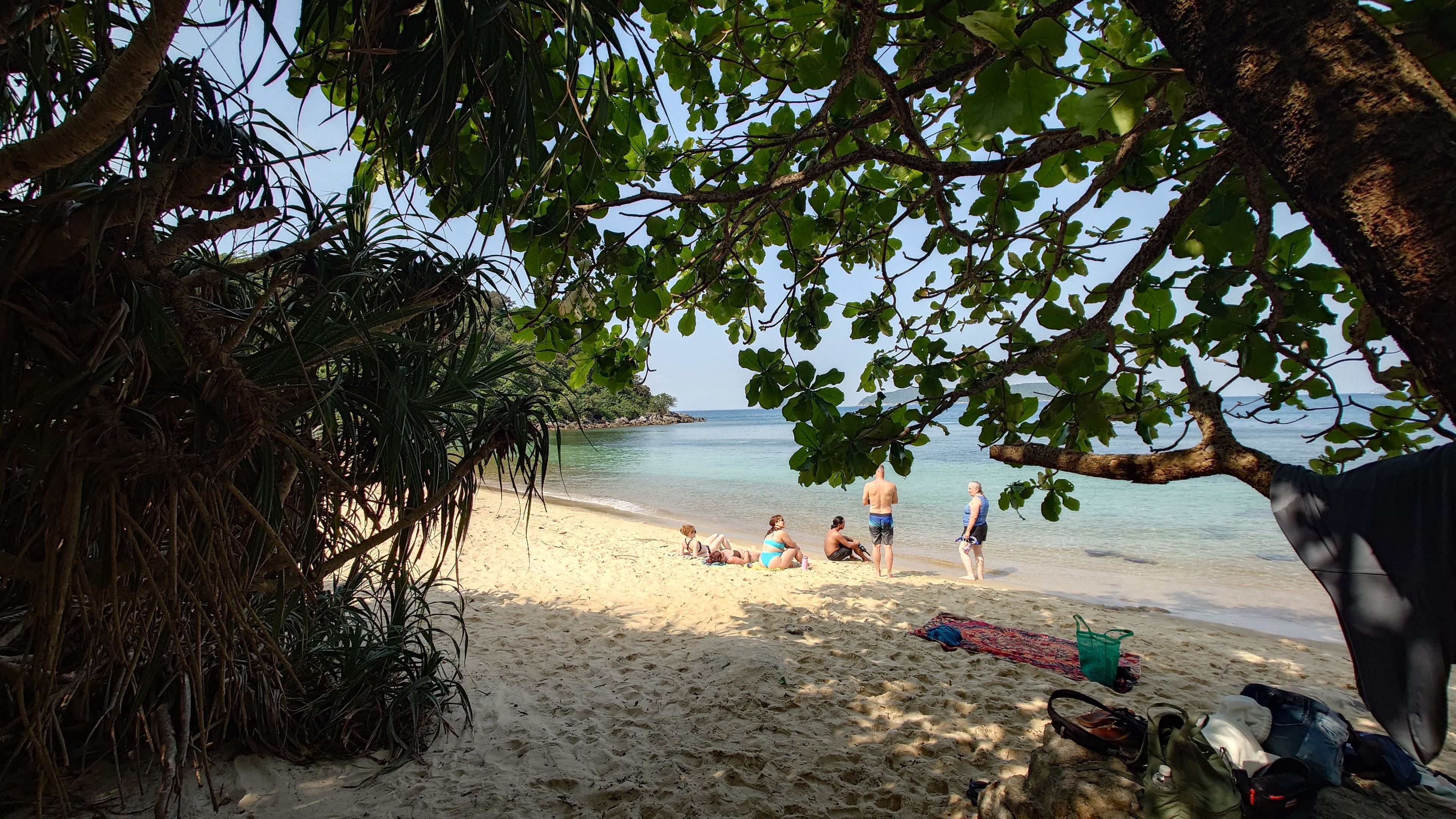 植物の隙間から見え隠れする Bai Xep の波打ち際