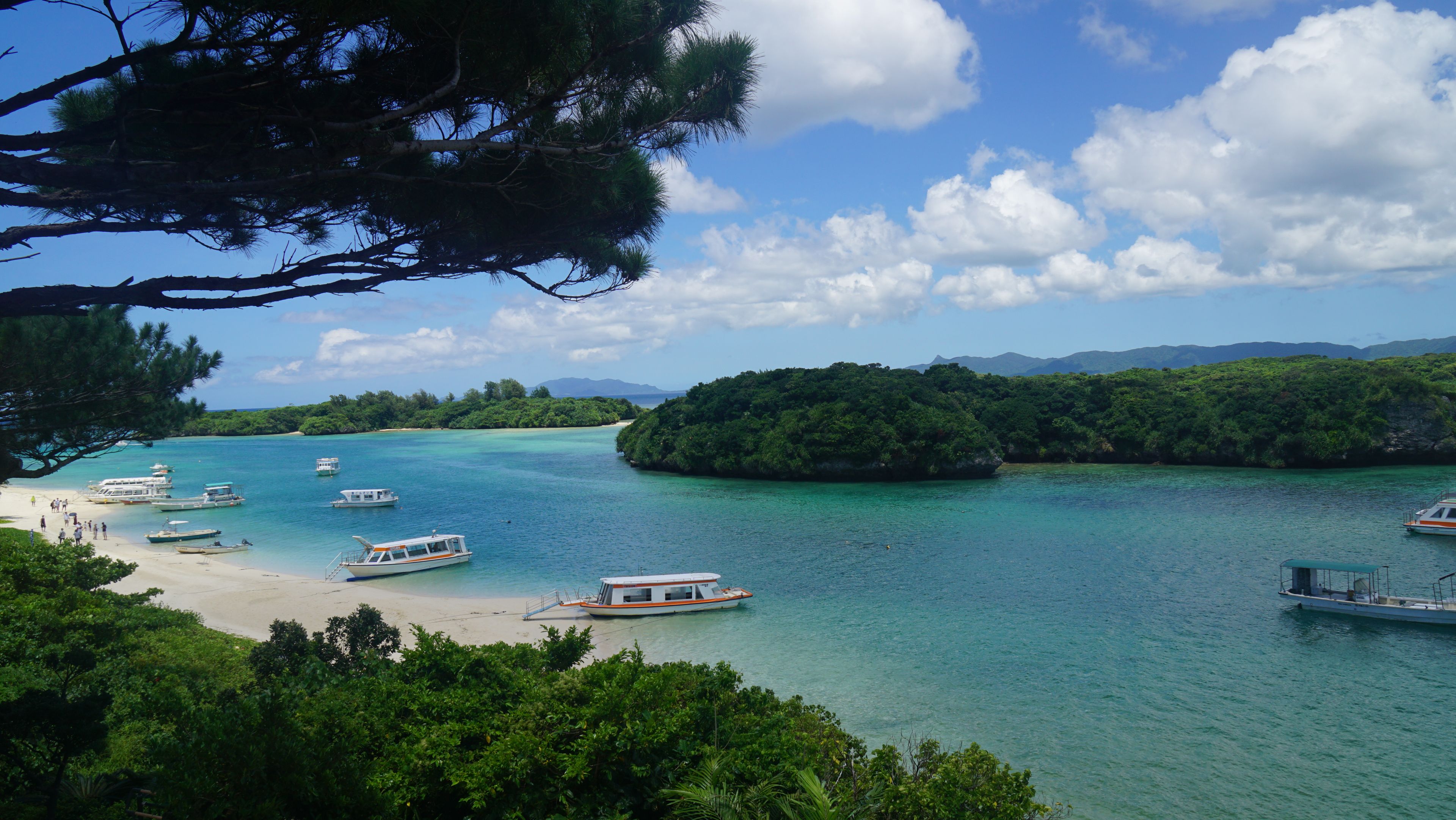 石垣島の風景