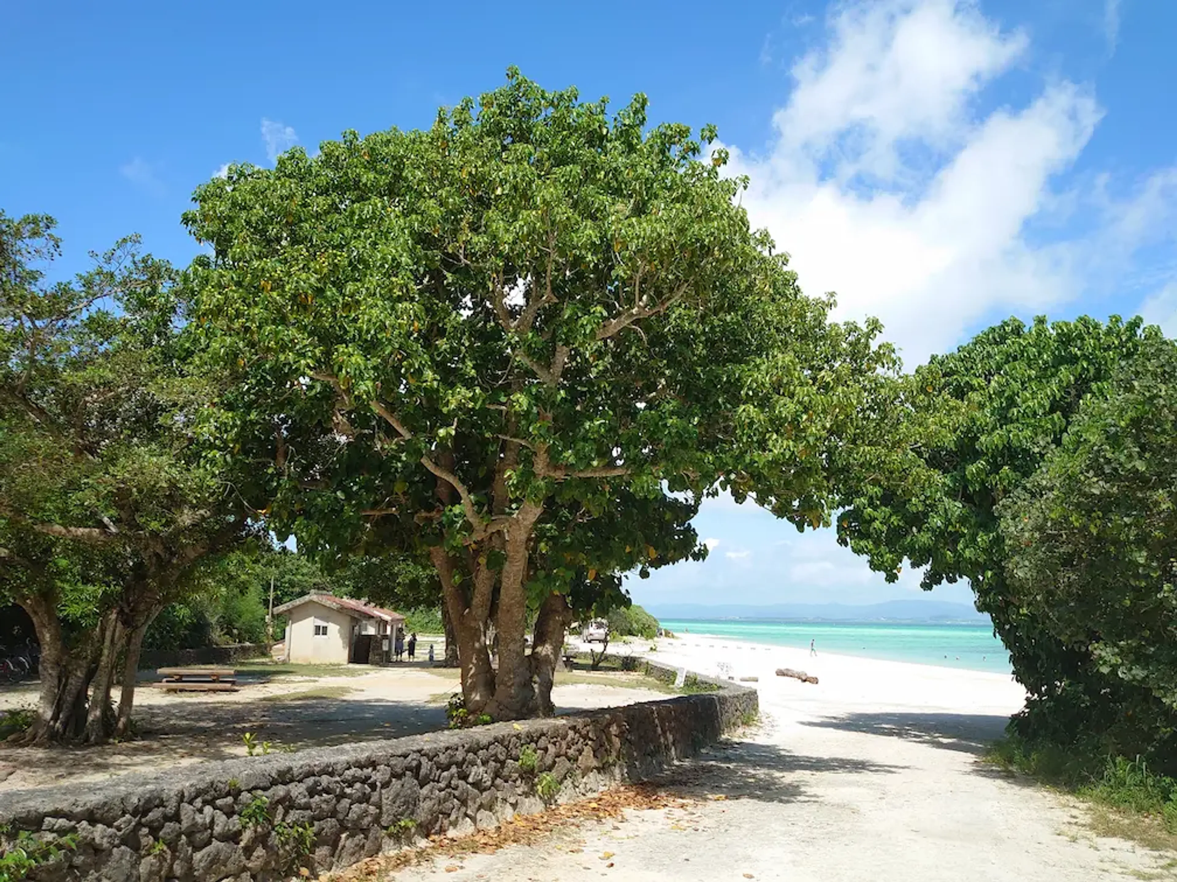 コンドイ浜の絶景