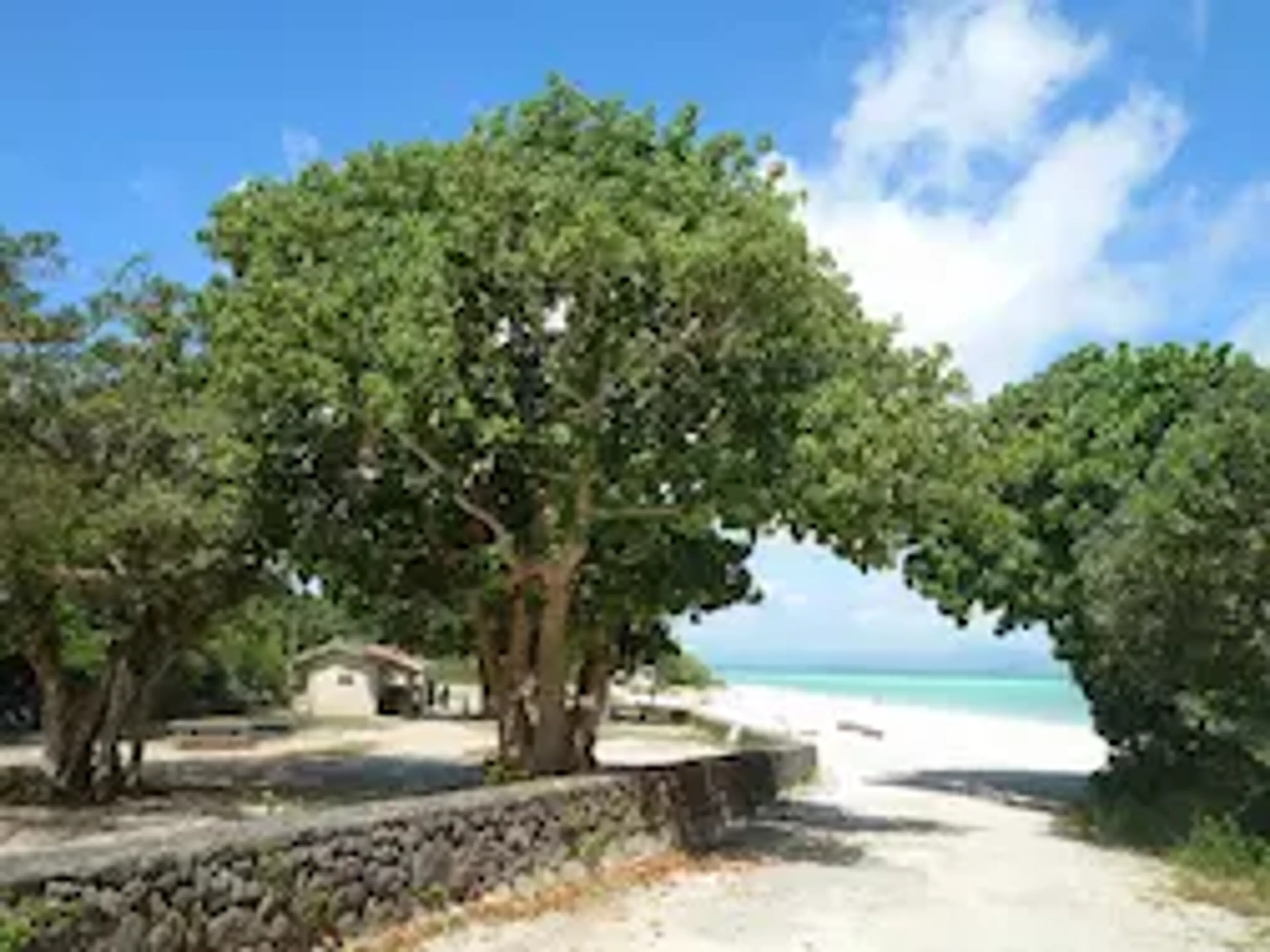 竹富島観光ガイド