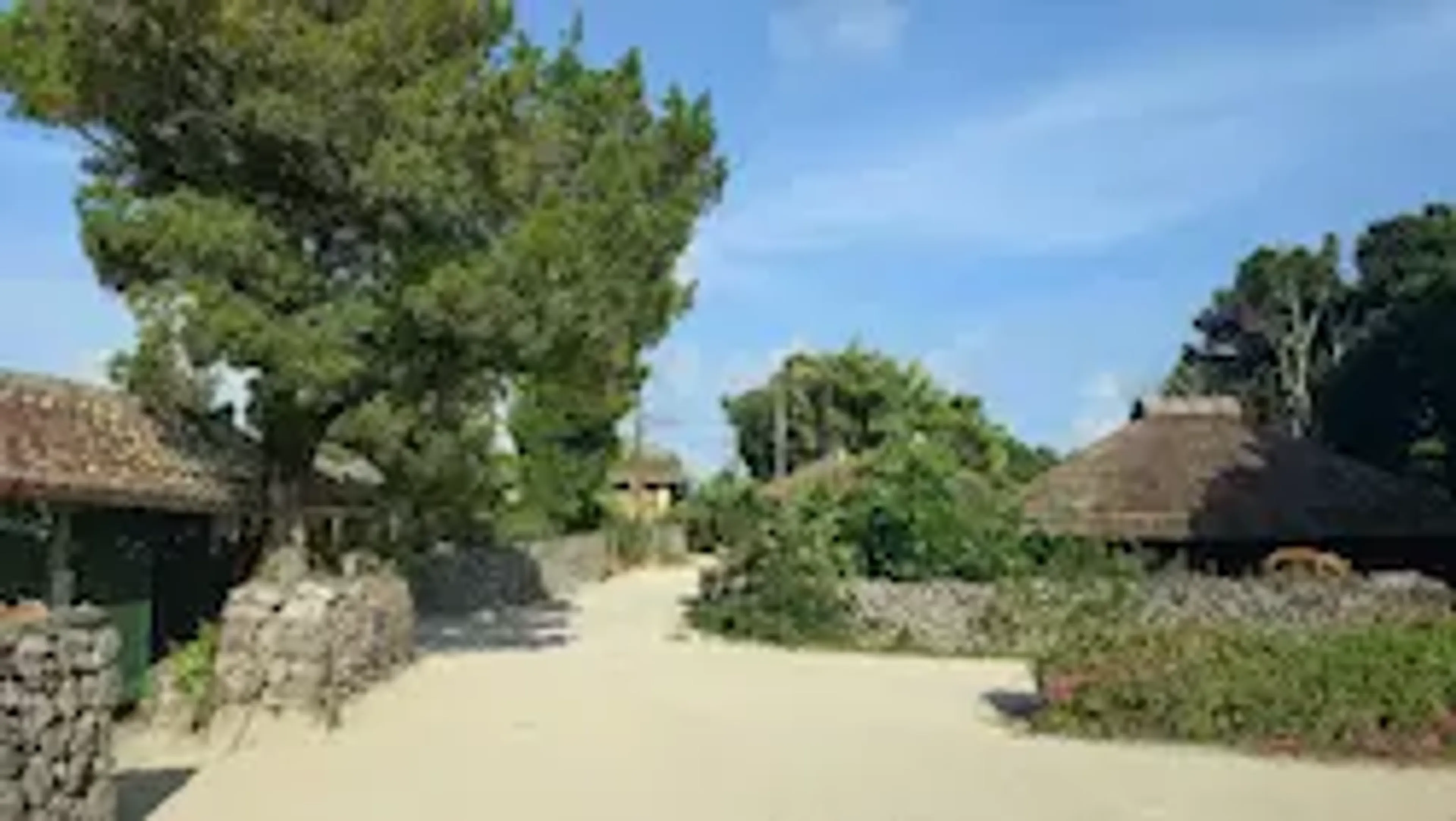 竹富島一周まるごと体感コース