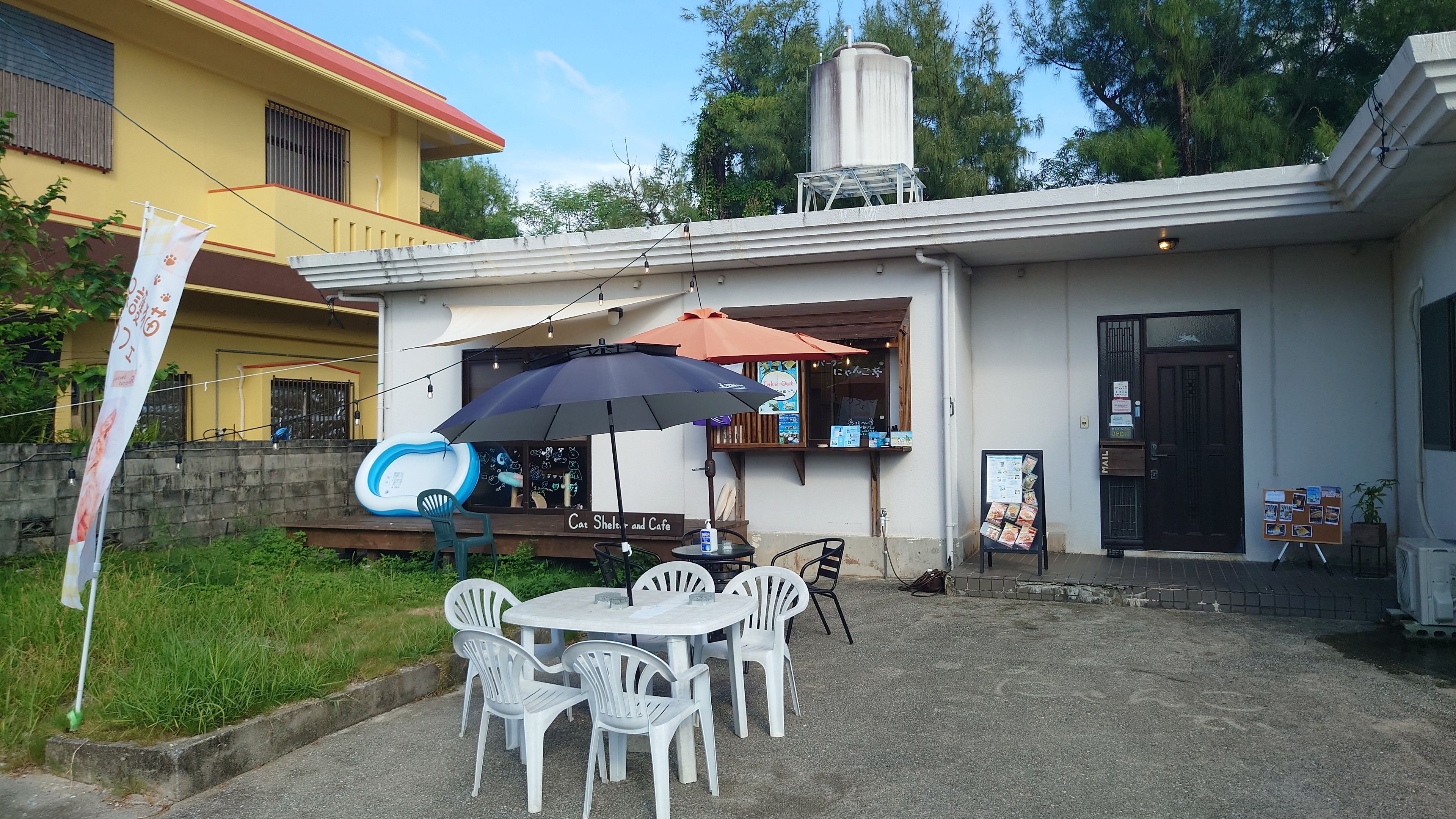 球美にゃんこ亭の猫スタッフ