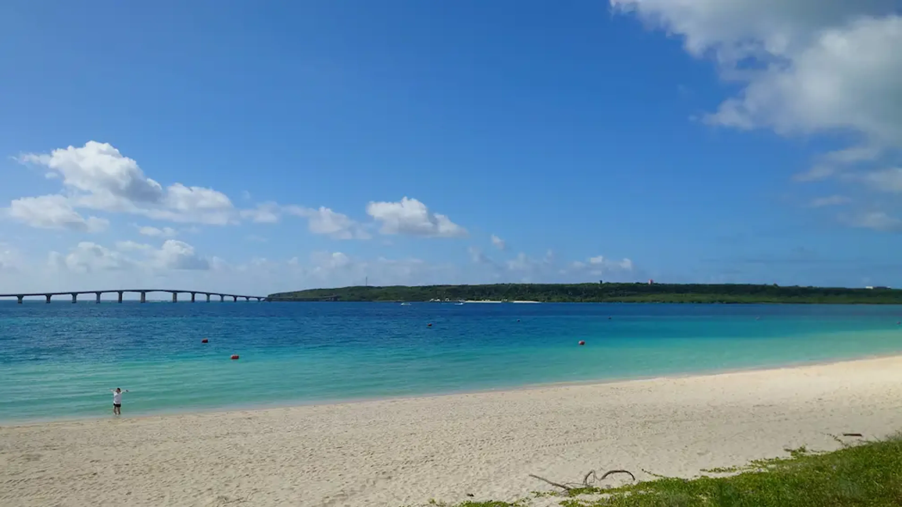 Miyako Guide Background