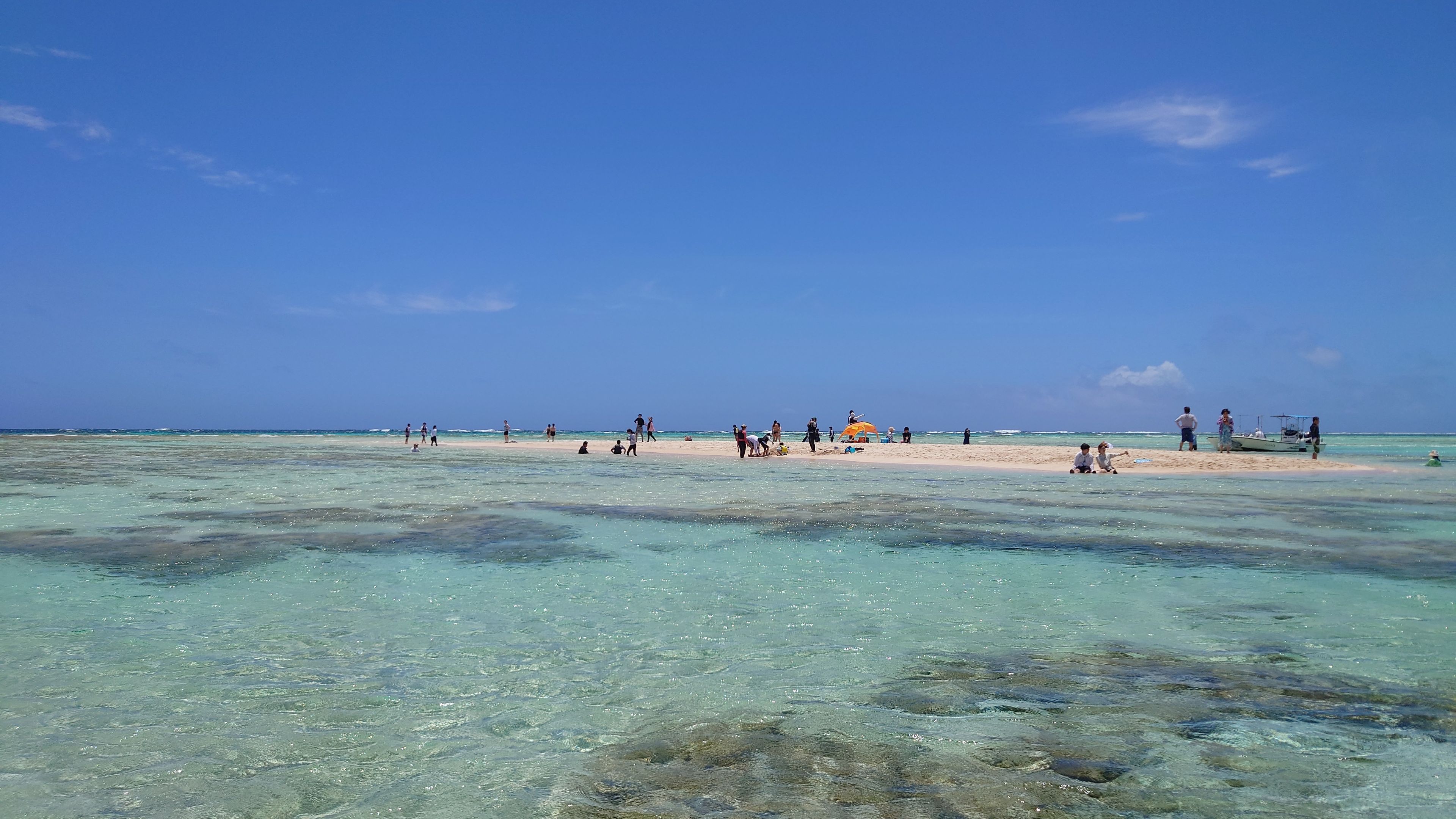 百合ヶ浜ツアーの様子