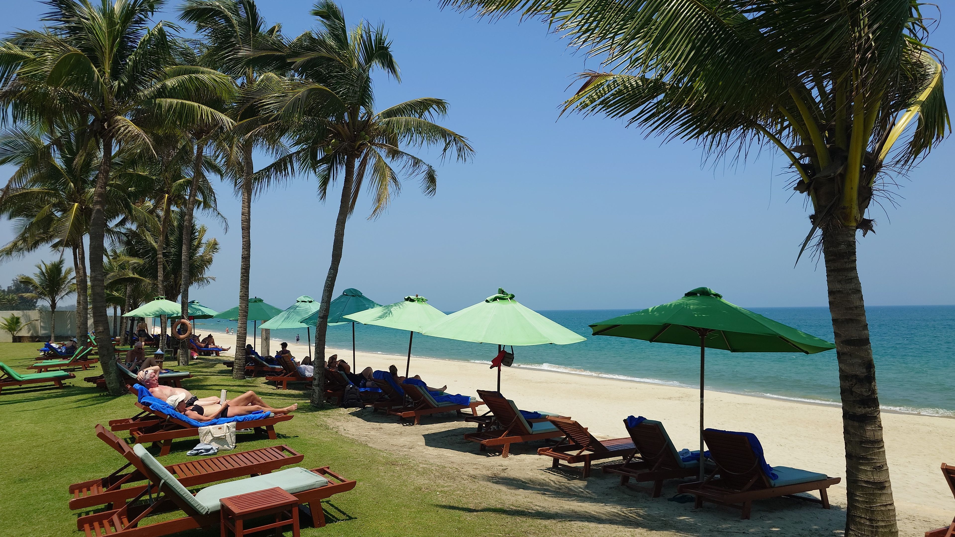 Palm Garden Resort プライベートビーチ。パラソルとヤシの木が並ぶ、静寂に包まれたリゾートらしい風景。