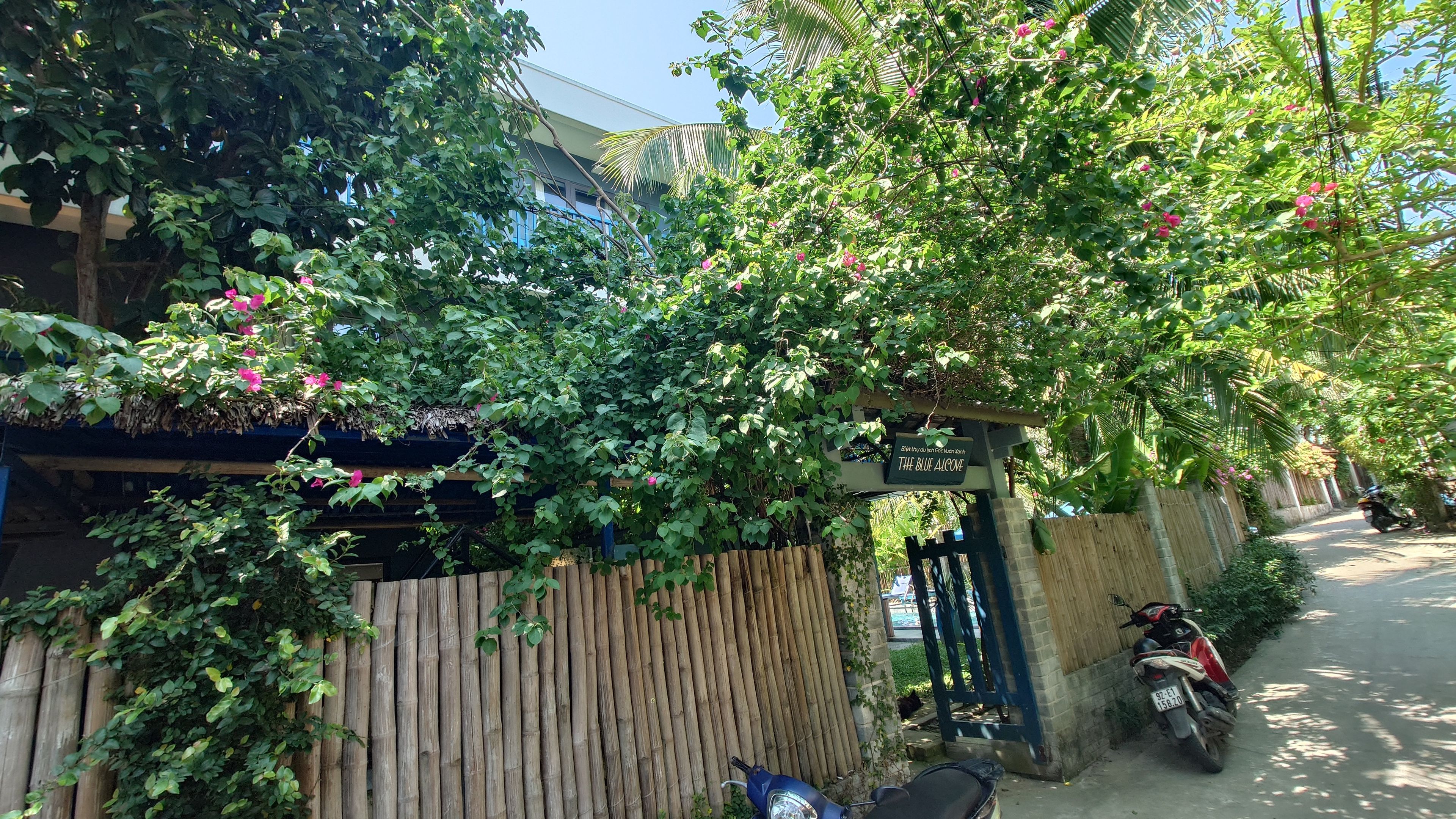 The Blue Alcove hotel のエントランス。生い茂る緑に覆われ、外からは建物が見えない隠れ家のような佇まい。