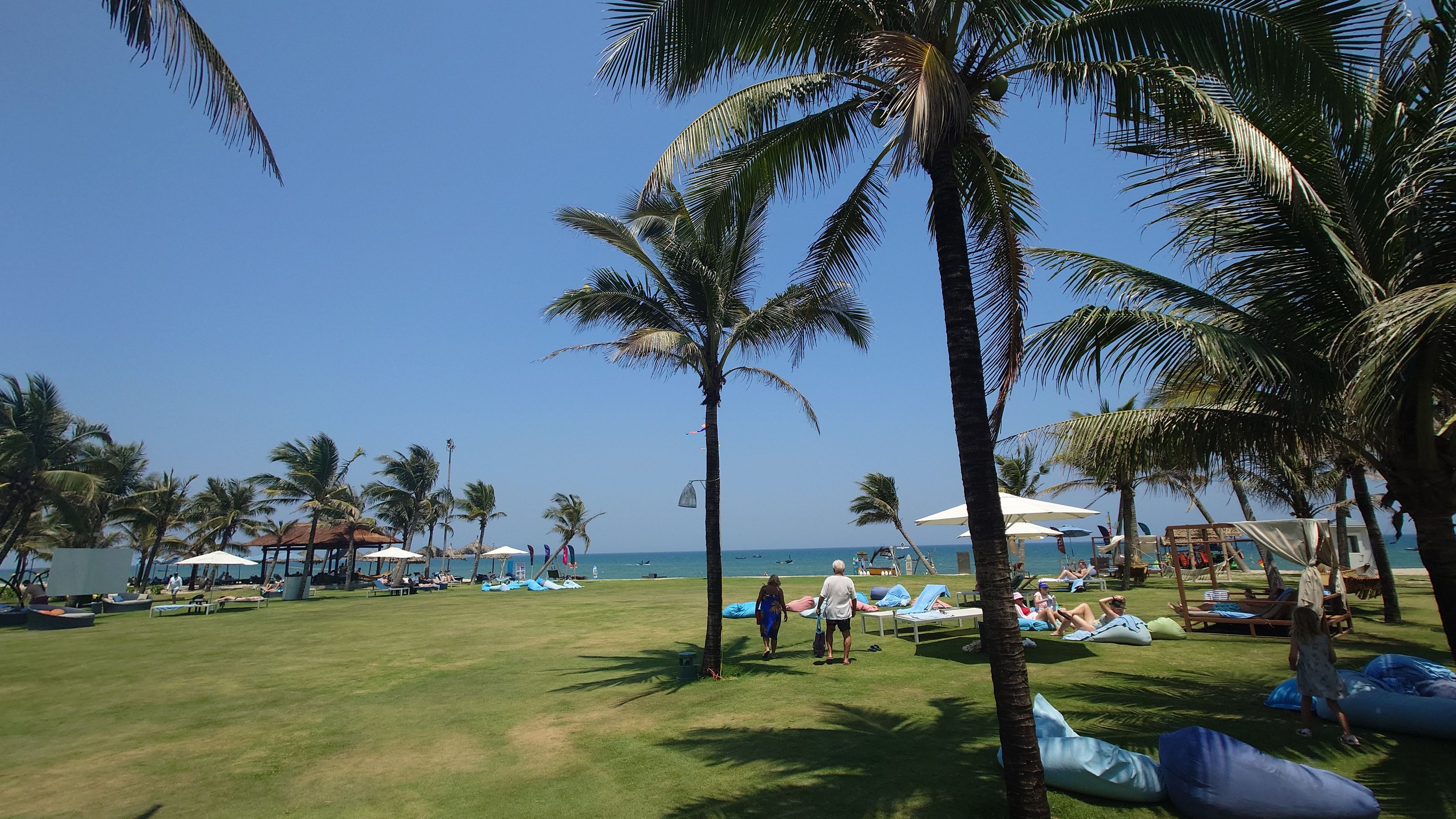 広大なガーデンエリア。ヤシの木の下にクッションやビーチチェアが並ぶ、くつろぎの空間。