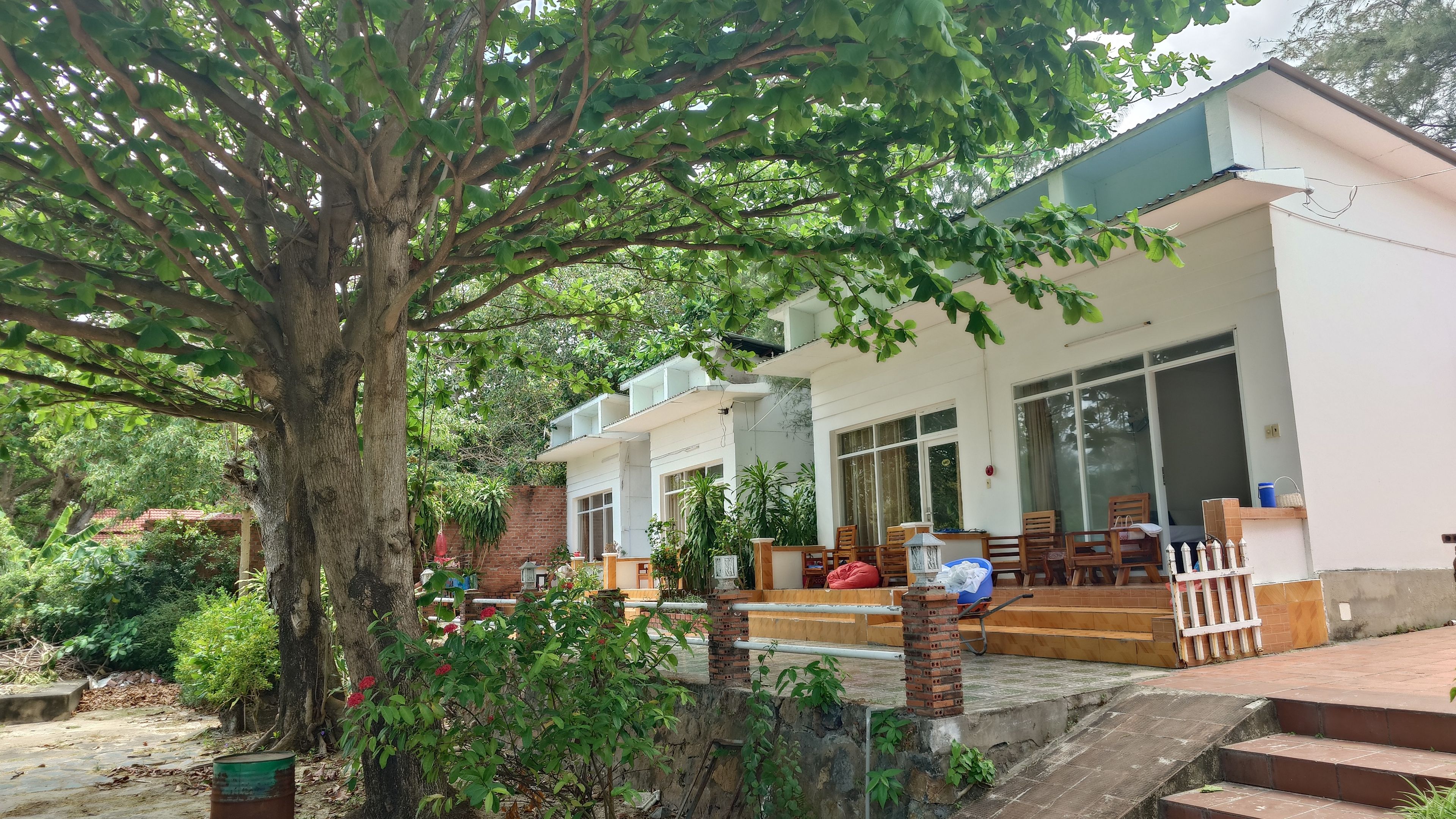 タンソンニャット：緑豊かな木々に囲まれた、落ち着いた雰囲気の客室外観