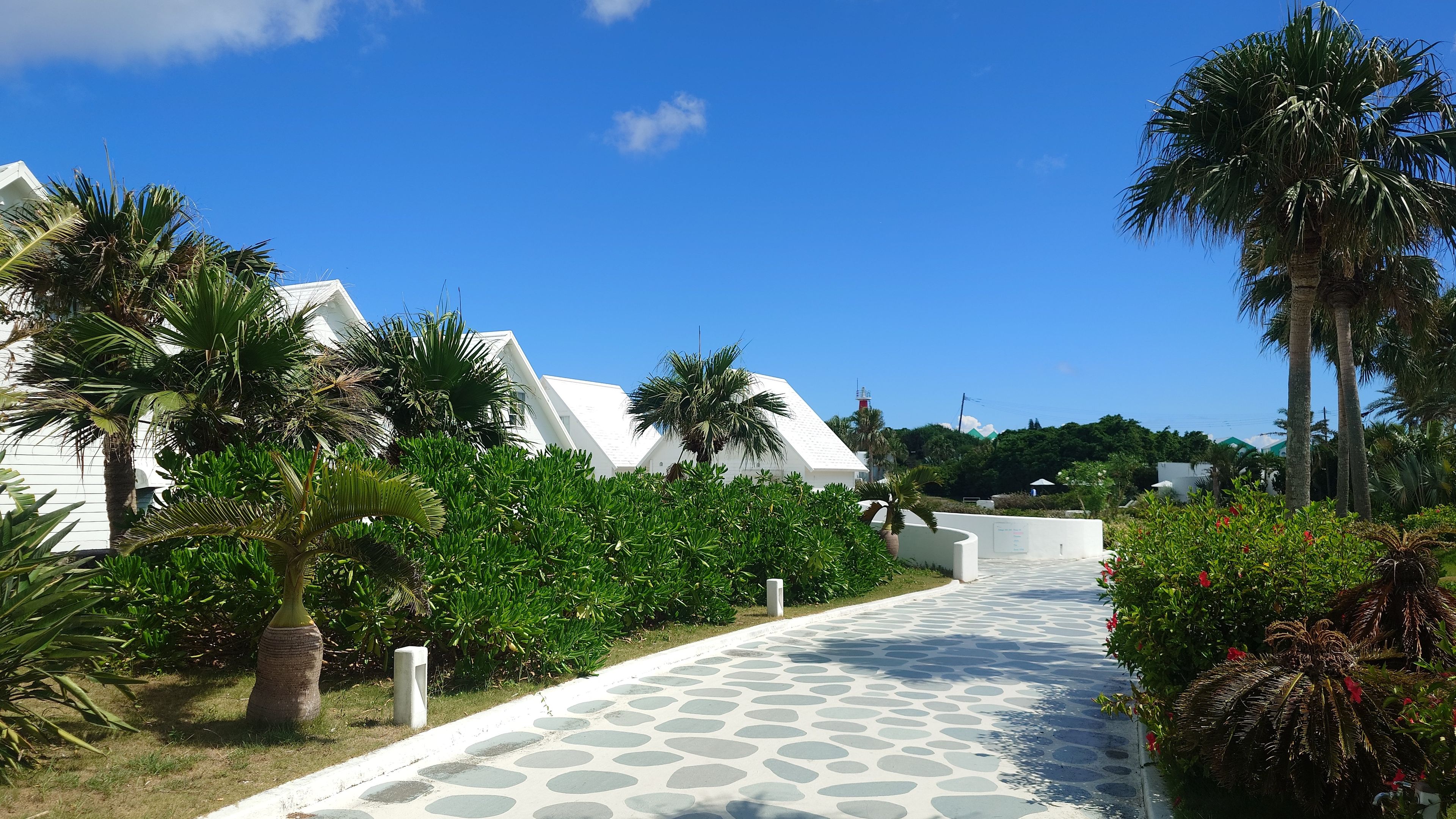 A pathway lined with white cottage guest rooms on the left and tropical plants on the right.